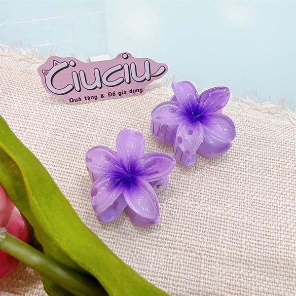  Kẹp càng cua hoa sứ 