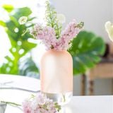  Lọ hoa thuỷ tinh bầu dục ombre 21cm 