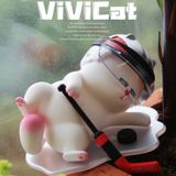  Blind box Vivicat Helmet 