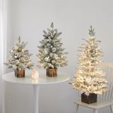  Cây thông phủ tuyết kèm chậu + đèn decor Giáng Sinh 