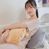  Đệm hạt xốp thú dễ thương 40cm 