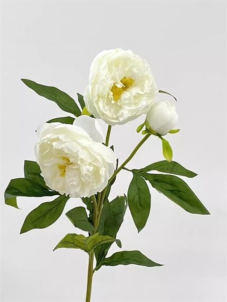  Hoa Mẫu Đơn lụa 2 hoa + 1 nụ 