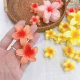  Kẹp càng cua hoa sứ 