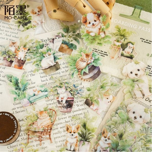  Sticker Mocard decor cây/pet tone xanh 