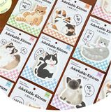 Giấy nhớ Adorkable Kittens 