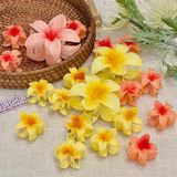  Kẹp càng cua hoa sứ 