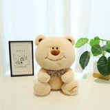  Gấu bông Teddy mặt tròn ngồi 