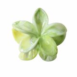  Kẹp càng cua hoa sứ màu loang 