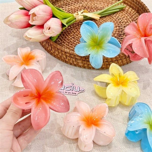  Kẹp càng cua hoa sứ nhuỵ ombre 