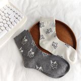  Tất SKSTMG gấu Teddy 