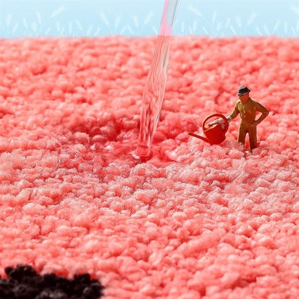  Thảm lông Thỏ ôm hoa 