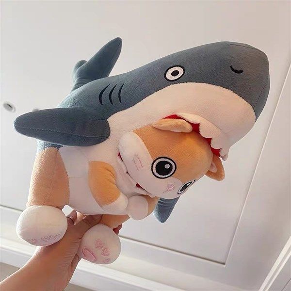  Cá mập mèo bông 
