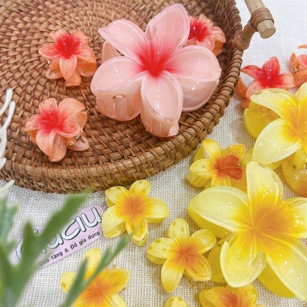  Kẹp càng cua hoa sứ 