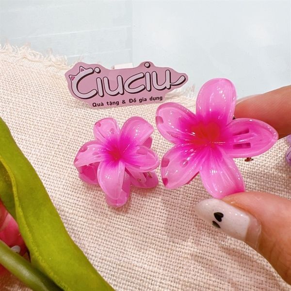  Kẹp càng cua hoa sứ 