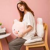  Gối thú viền lông 40cm 