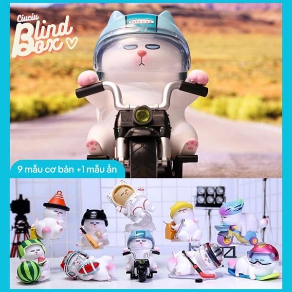  Blind box Vivicat Helmet 