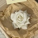  Kẹp hoa hồng cánh mỏng 