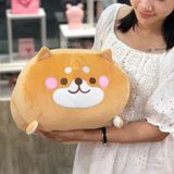  Shiba bông dáng nằm 65cm 