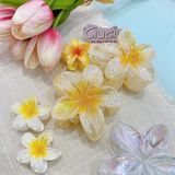  kẹp càng cua hoa sứ ánh nhũ nhuỵ ombre 