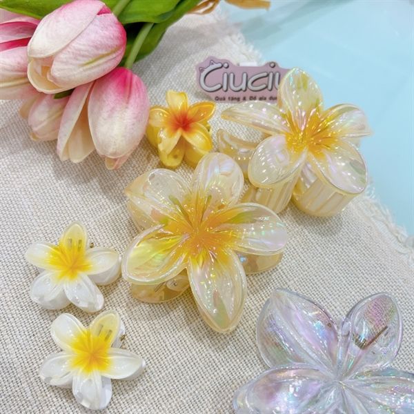  kẹp càng cua hoa sứ ánh nhũ nhuỵ ombre 