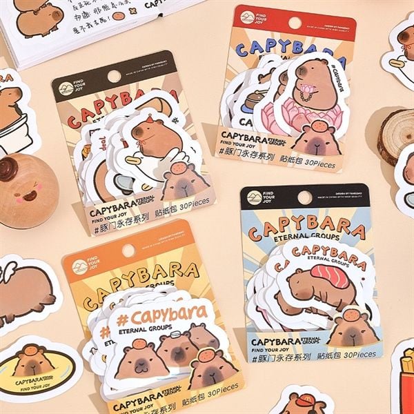  Sticker Capybara Eternal groups 