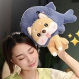  Shiba bông mũ cá mập 