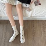  Tất SKSTMG gấu Teddy 