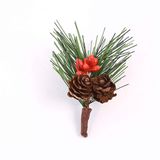  Quả thông mix lá 