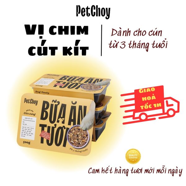 Pate tươi PETCHOY cho cún từ 3 tháng tuổi vị 