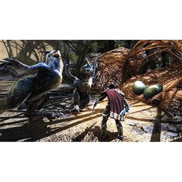 Game Nintendo Switch Kingdoms of Amalur Re-Reckoning Hệ US