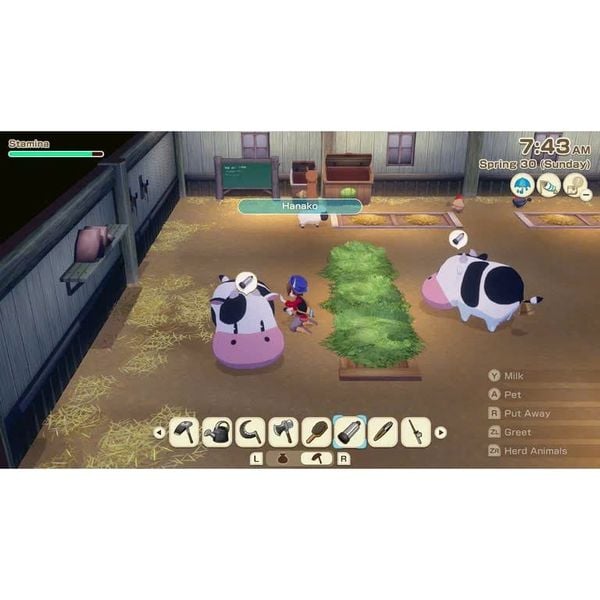 Game Nintendo Switch 2 Story of Seasons: Grand Bazaar Premium Edition