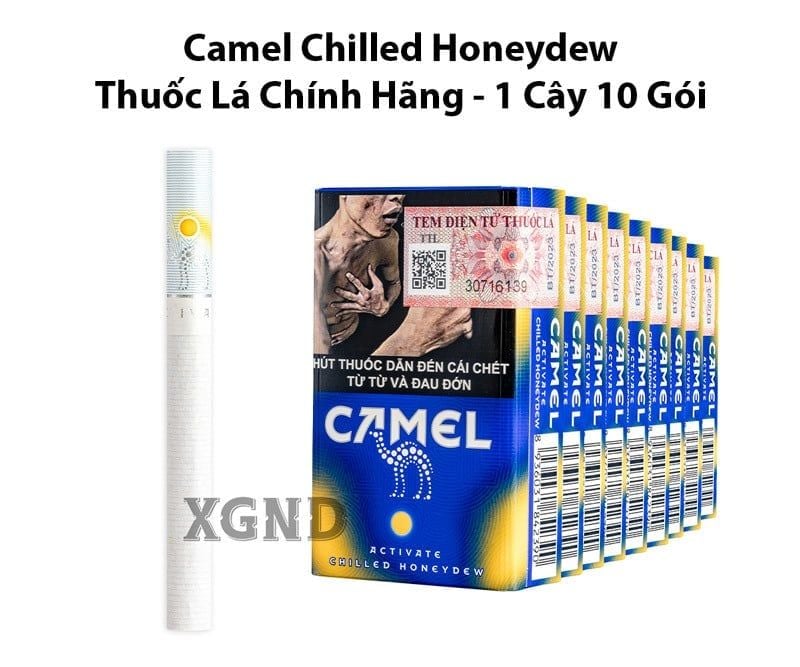  Camel Chilled Honeydew 1 Bấm Vị Dưa Lưới The - Thuốc Lá Chính Hãng 