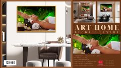 TRANH TREO TƯỜNG KHUNG HỢP KIM - TRANH SPA - MÃ T3D-886