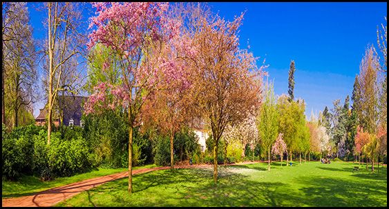 TRANH TREO TƯỜNG PHÒNG KHÁCH - TRANH PHONG CẢNH CHÂU ÂU HIỆN ĐẠI - KHỔ LỚN | MÃ CA-35