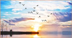 TRANH PHONG CẢNH THIÊN NHIÊN - TRANH PHÒNG KHÁCH - SAU SOFA - PHÒNG ĂN | MÃ D-248