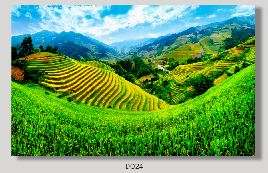 191 - TRANH TREO TƯỜNG PHÒNG KHÁCH, SAU SOFA - TRANH TREO PHONG CẢNH ĐỒNG QUÊ |DQ24