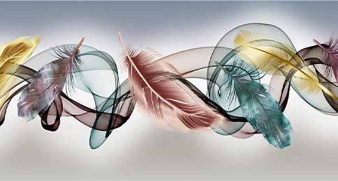 TRANH TREO TƯỜNG PHÒNG KHÁCH, PHÒNG NGỦ - TRANH LÔNG VŨ - KHỔ LỚN | MÃ F-179