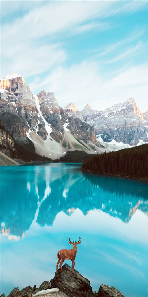 TRANH TREO CẦU THANG - CHIẾU NGHỈ - LỐI ĐI - TRANH PHONG CẢNH THIÊN NHIÊN | MÃ F-399