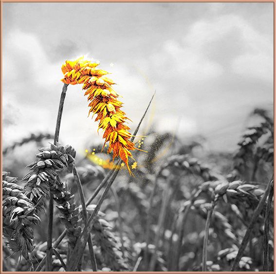 TRANH TREO PHÒNG ĂN - TRANH TRỪU TƯỢNG HIỆN ĐẠI | MÃ F-567-2