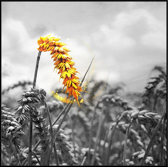 TRANH TREO PHÒNG ĂN - TRANH TRỪU TƯỢNG HIỆN ĐẠI | MÃ F-567-2