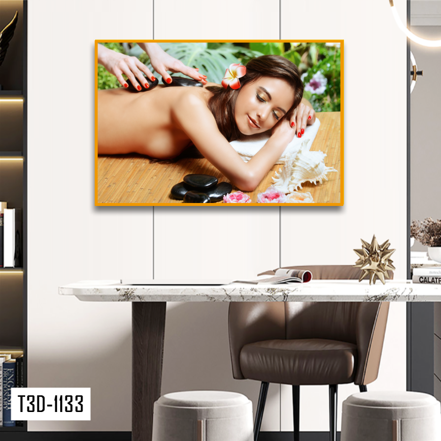 TRANH TREO TƯỜNG KHUNG HỢP KIM - TRANH SPA - MÃ T3D-1133