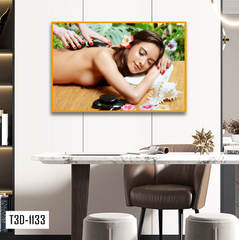 TRANH TREO TƯỜNG KHUNG HỢP KIM - TRANH SPA - MÃ T3D-1133