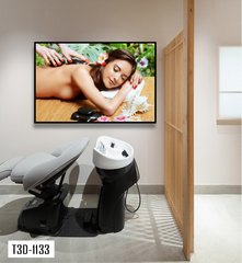 TRANH TREO TƯỜNG KHUNG HỢP KIM - TRANH SPA - MÃ T3D-1133