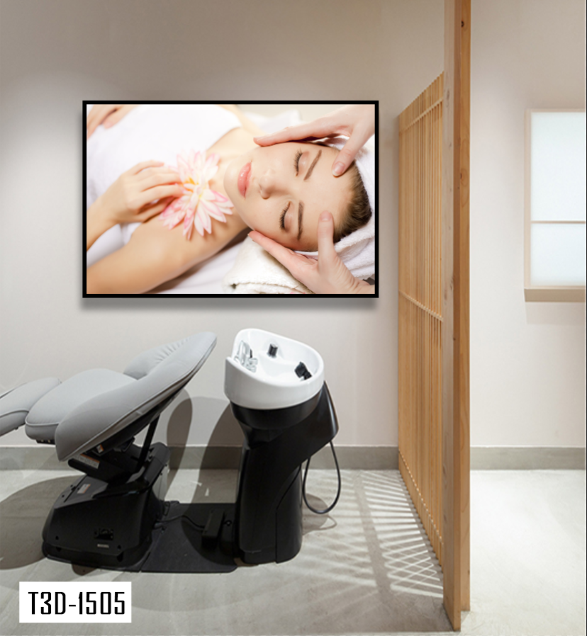TRANH TREO TƯỜNG KHUNG HỢP KIM - TRANH SPA - MÃ T3D-1505
