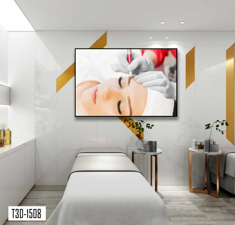 TRANH TREO TƯỜNG KHUNG HỢP KIM - TRANH SPA - MÃ T3D-1508