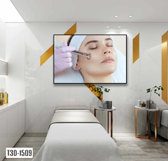 TRANH TREO TƯỜNG KHUNG HỢP KIM - TRANH SPA - MÃ T3D-1509