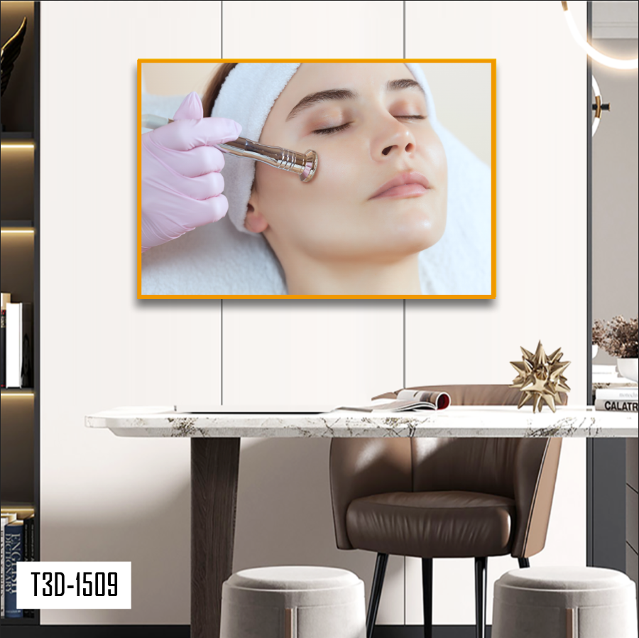 TRANH TREO TƯỜNG KHUNG HỢP KIM - TRANH SPA - MÃ T3D-1509