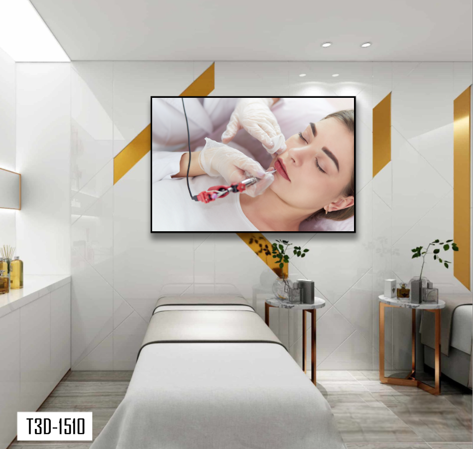 TRANH TREO TƯỜNG KHUNG HỢP KIM - TRANH SPA - MÃ T3D-1510