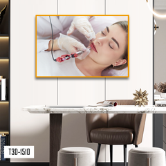 TRANH TREO TƯỜNG KHUNG HỢP KIM - TRANH SPA - MÃ T3D-1510
