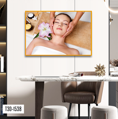 TRANH TREO TƯỜNG KHUNG HỢP KIM - TRANH SPA - MÃ T3D-1538